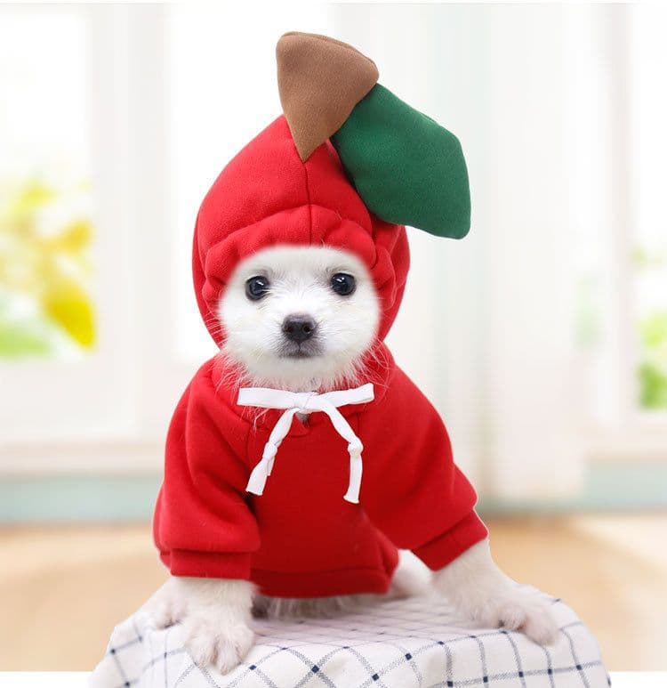 Pet Two Legged Clothes Cotton Fleece Hooded Sweatshirt (Drawstring) Apple Sweat, photo 1 of 10