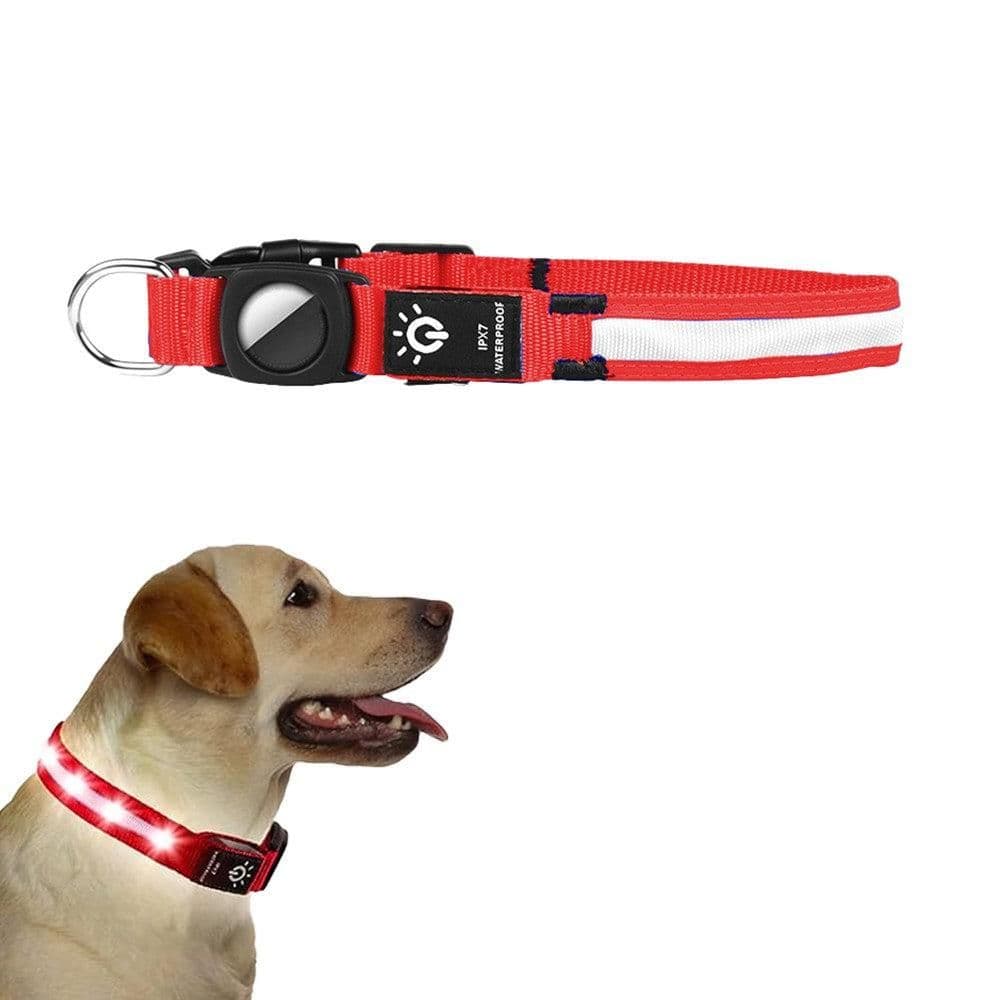 Luminous LED Pet Dog Collar Light-up USB Rechargeable Dog Collar