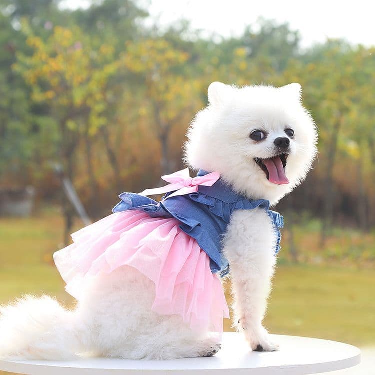 Shine Dog Cat Denim Skirt Princess Style -Korean Denim Skirt, photo 1 of 10