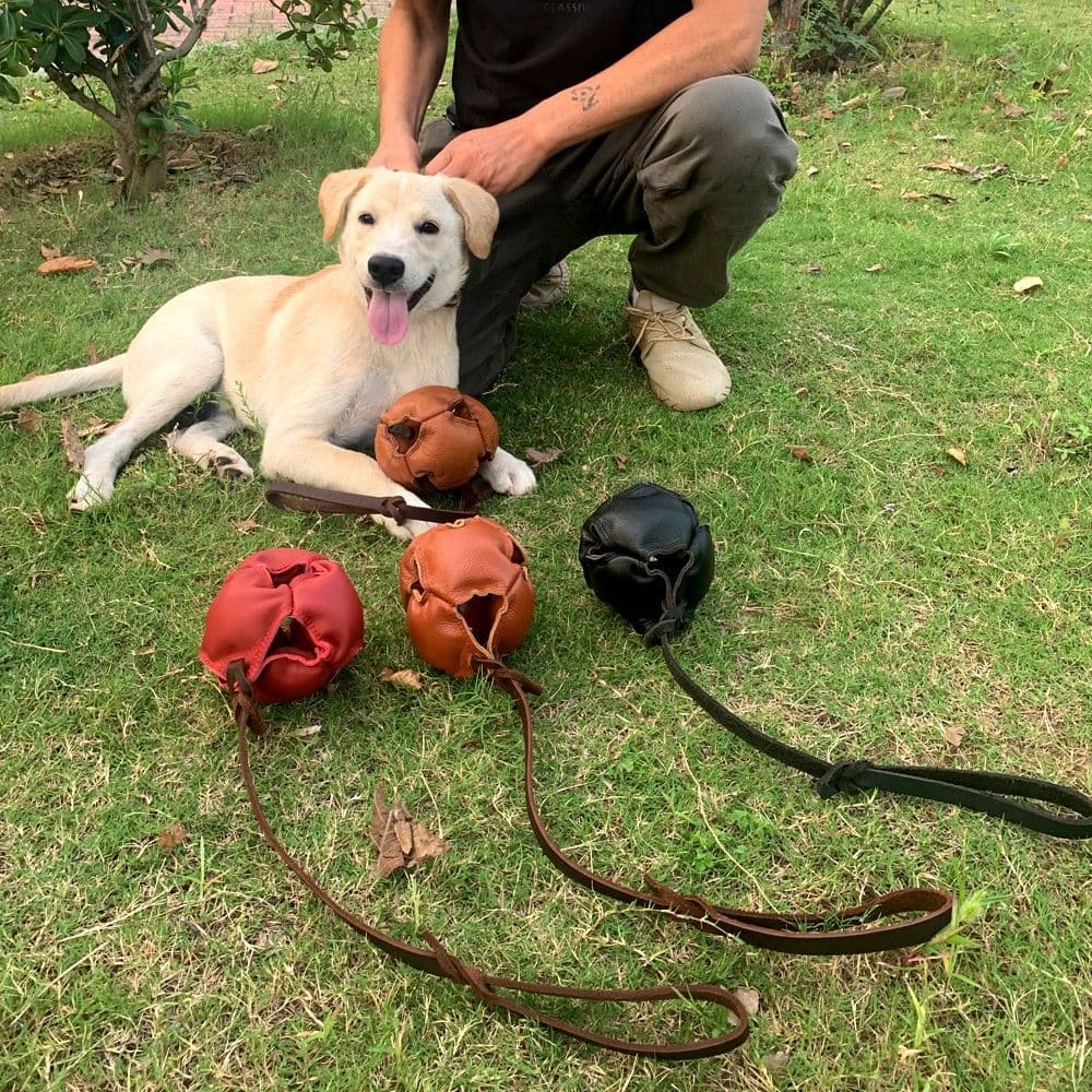 Interactive Leather Chew Ball for Dogs with Durable Rope Handle – Ideal for Puppy Training, Dental Chewing, Outdoor Fetch, and Bonding Play for Small to Medium Breeds, photo 1 of 10