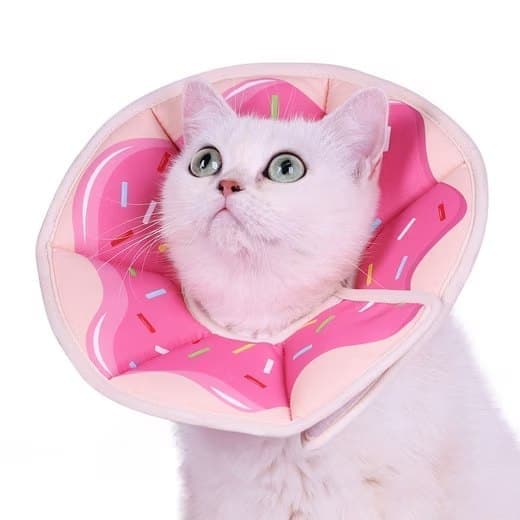 Adjustable Protective Collar for Cats and Dogs with Velcro