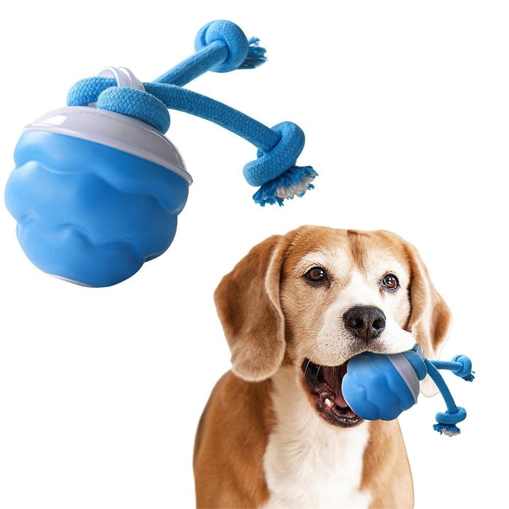 3-Mode Pet Interactive Toys Squeaky Auto Rolling Ball Dog Toy Blue, photo 1 of 5