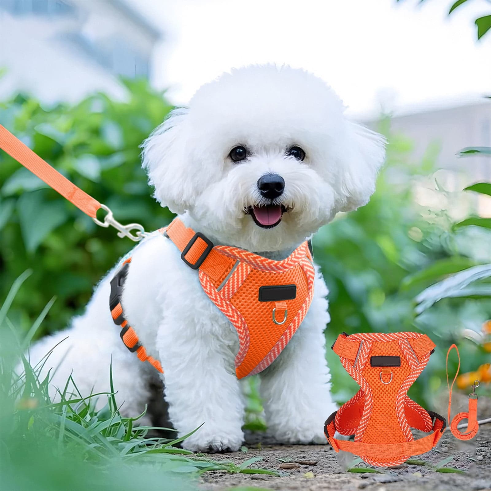 Small Dog Harness with Pet Lead, Puppy Harness Reflective Step-in Puppy Pet Harnesses for Small Medium Dogs and Cats Orange, photo 1 of 6
