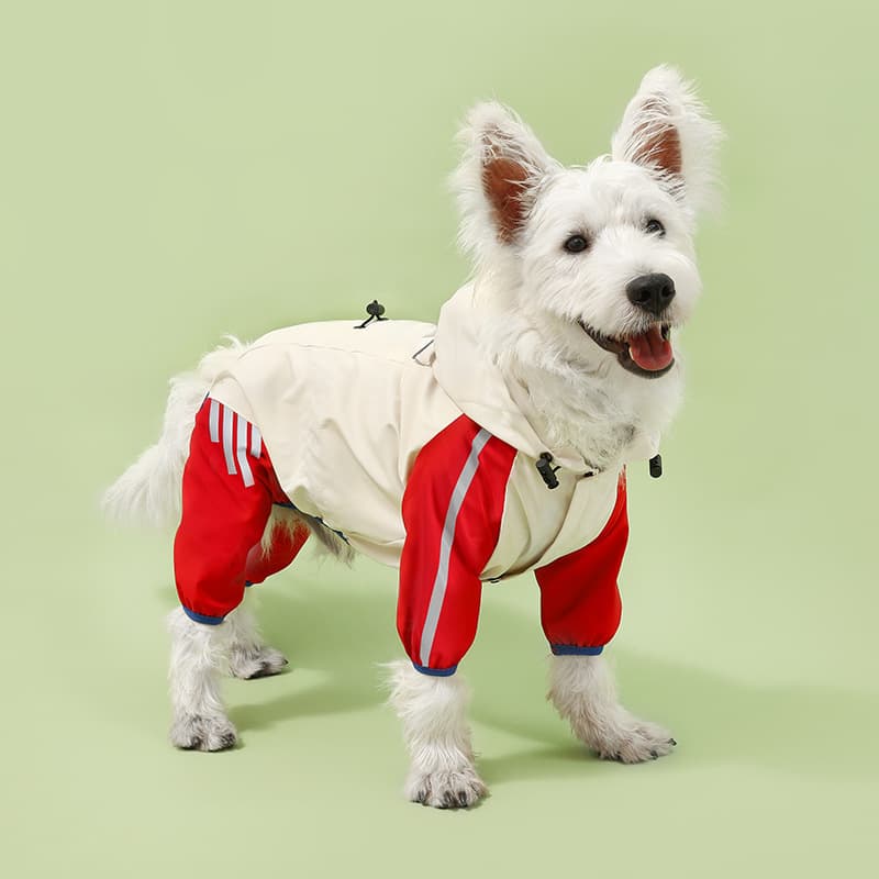 Colorblock Dog Raincoat - Waterproof with Hood and Reflective Strips