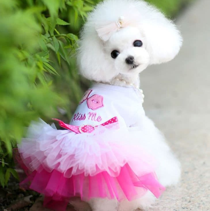 Pet Dress Shine Cotton Lip Skirt