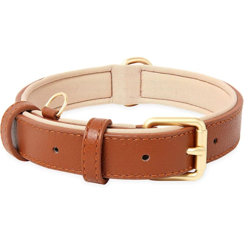Leather Dog Collar, Adjustable Dog Collar Soft Padded Leather Cushion For Small, Medium Or Large Dogs, Brown, M, photo 1 of 4
