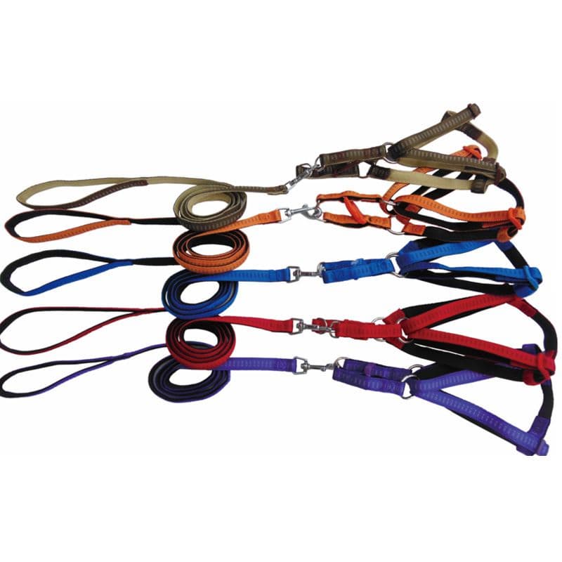Zichen Nylon Dog Leash for Small and Medium Dogs), photo 1 of 6