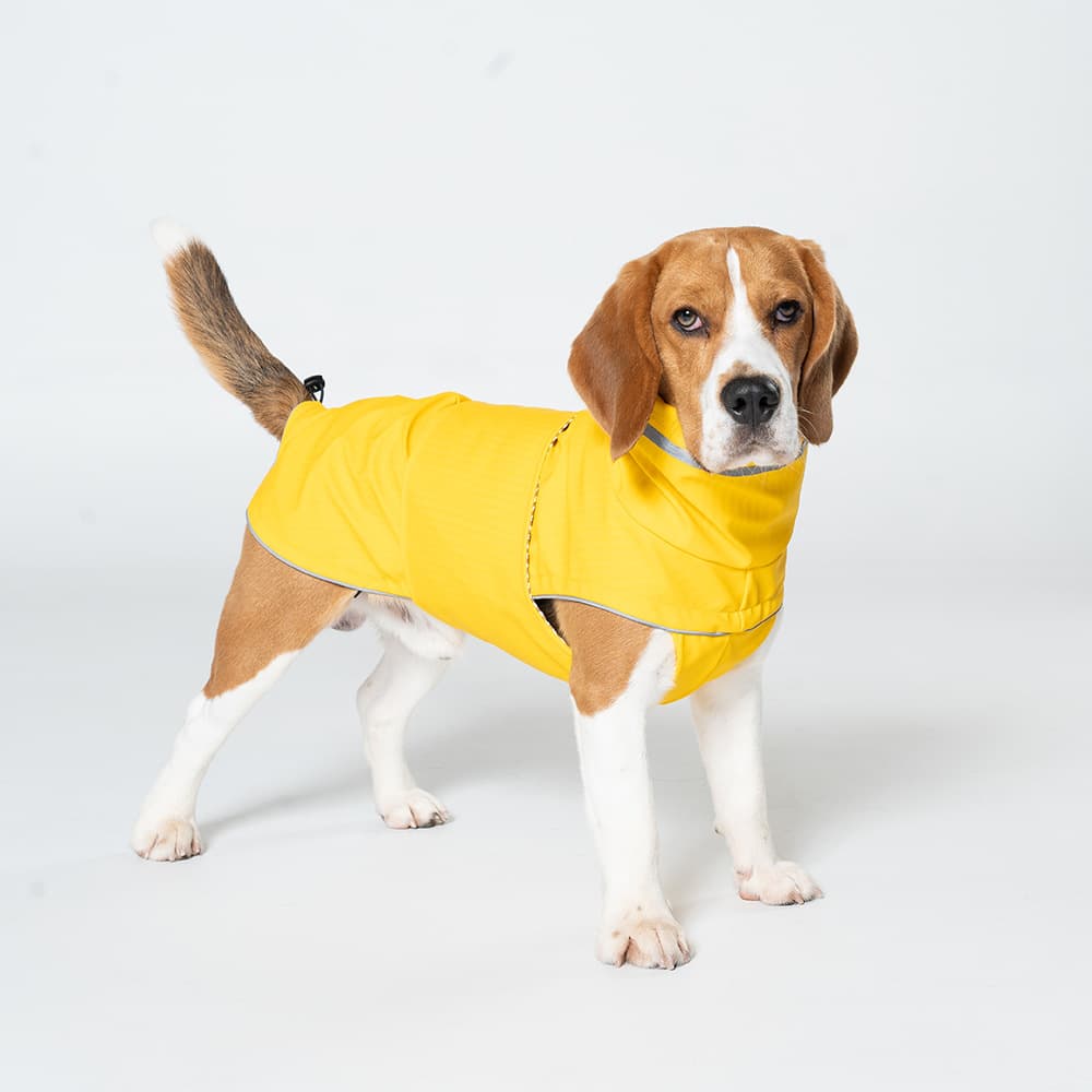 All-Season Pet Raincoat - Waterproof & Dustproof High-Collar Dog Windbreaker for Spring
