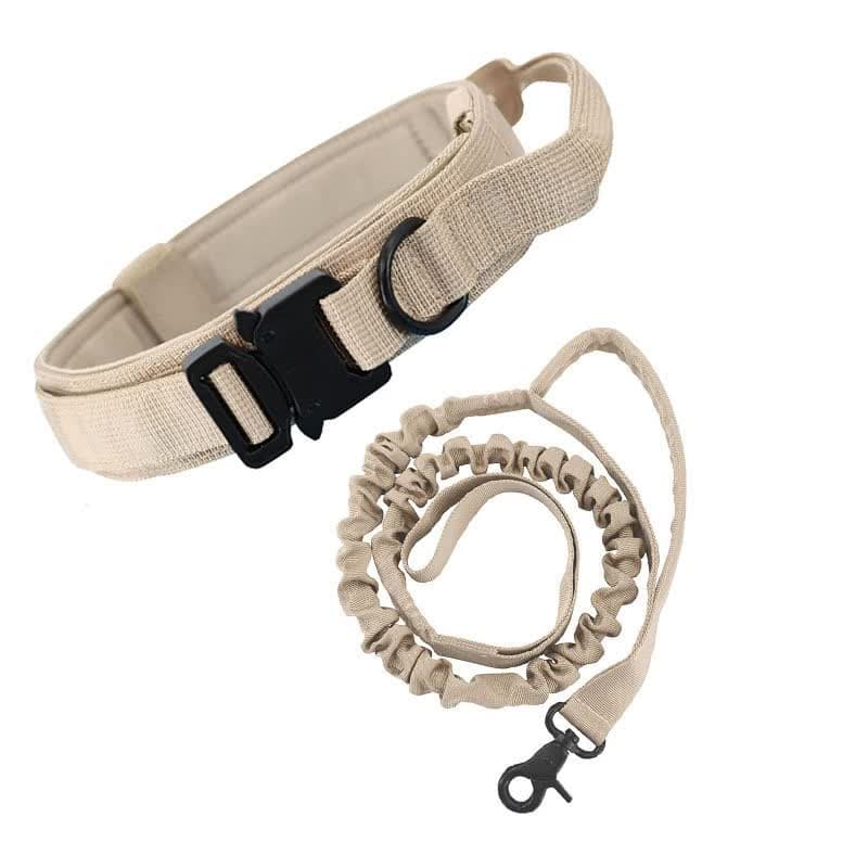 Hands-Free Dog Leash with Adjustable Waist Belt - Shock Absorbing Bungee Lead