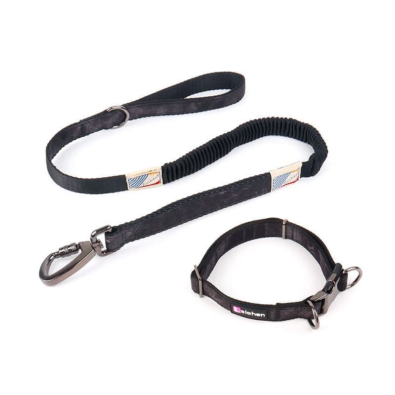 Zichen Dog Collar Polyester 2.5 Army Green alloy buffer pull item (set) 2.5 Specifications, photo 1 of 3