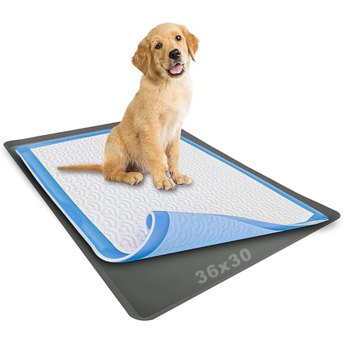 Dog Pee Pad Holder - Fits Up to 30” x 36” Pee Pad - 1 Pack - Grey | Stable Grip, Soft Edges, Quick Wipe Silicone Surface, Dog Pad Holder for Indoor Flooring Protection, photo 1 of 7