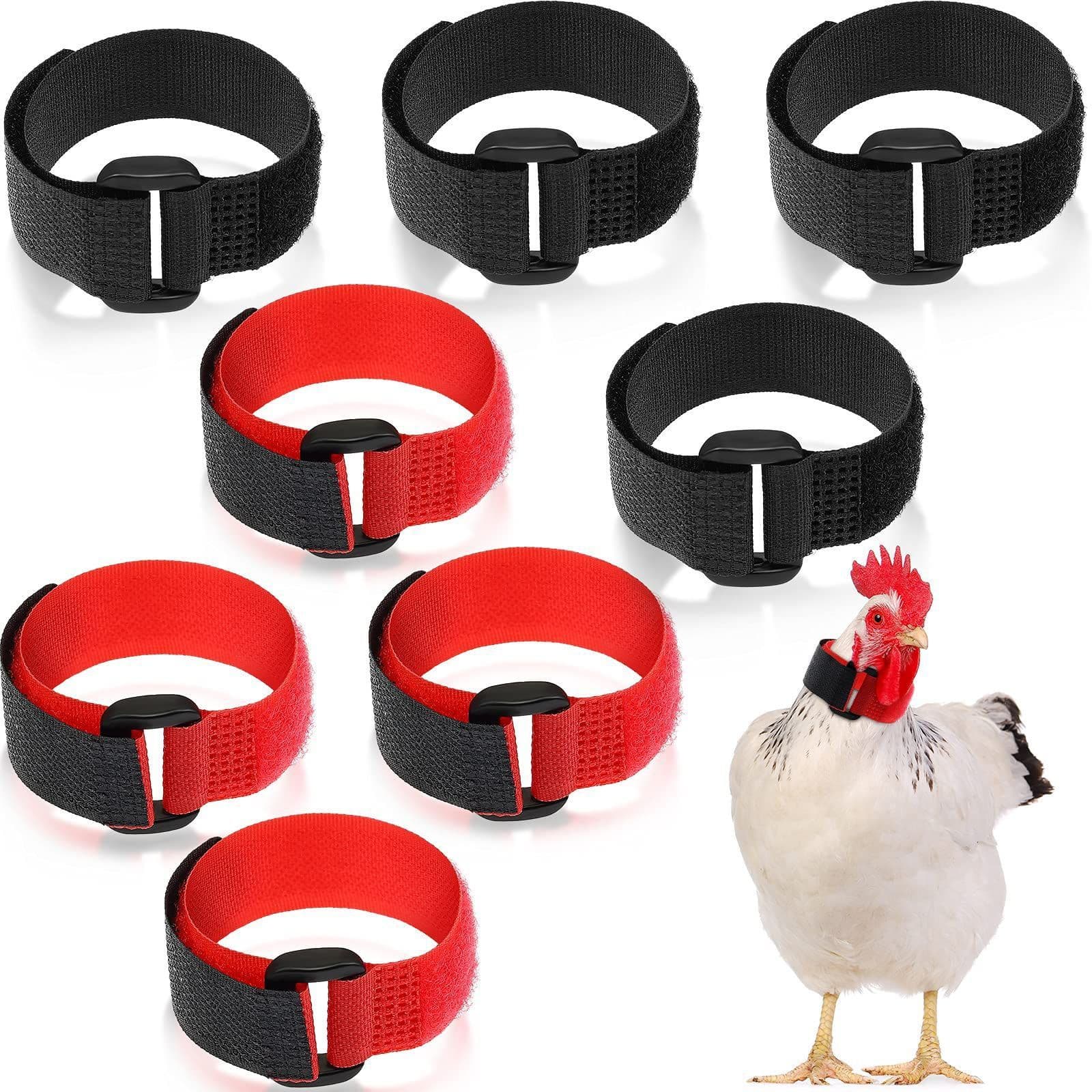8 pack Bag Rooster Collar, Keep Roosters Quiet Noise Neckband Nylon Rooster Collar Noise Neck Belt Pet Chicken Supply for House, photo 1 of 5