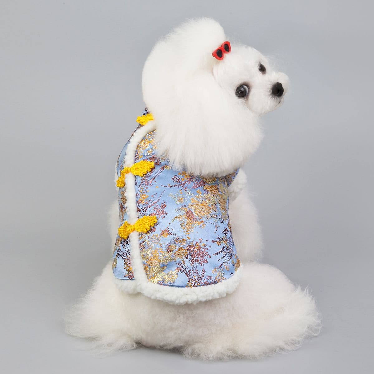 Dogbaby Pet Sweatshirt Cotton Casual Winter Blue, photo 1 of 10