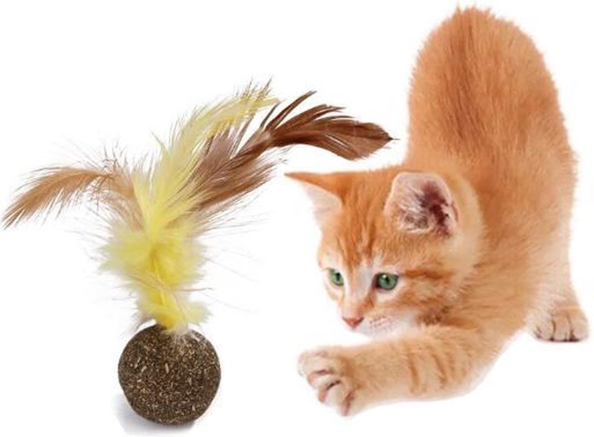 Catnip Ball with Feather | Fun & Tasty Cat Toy | Toys for Cats, photo 1 of 2