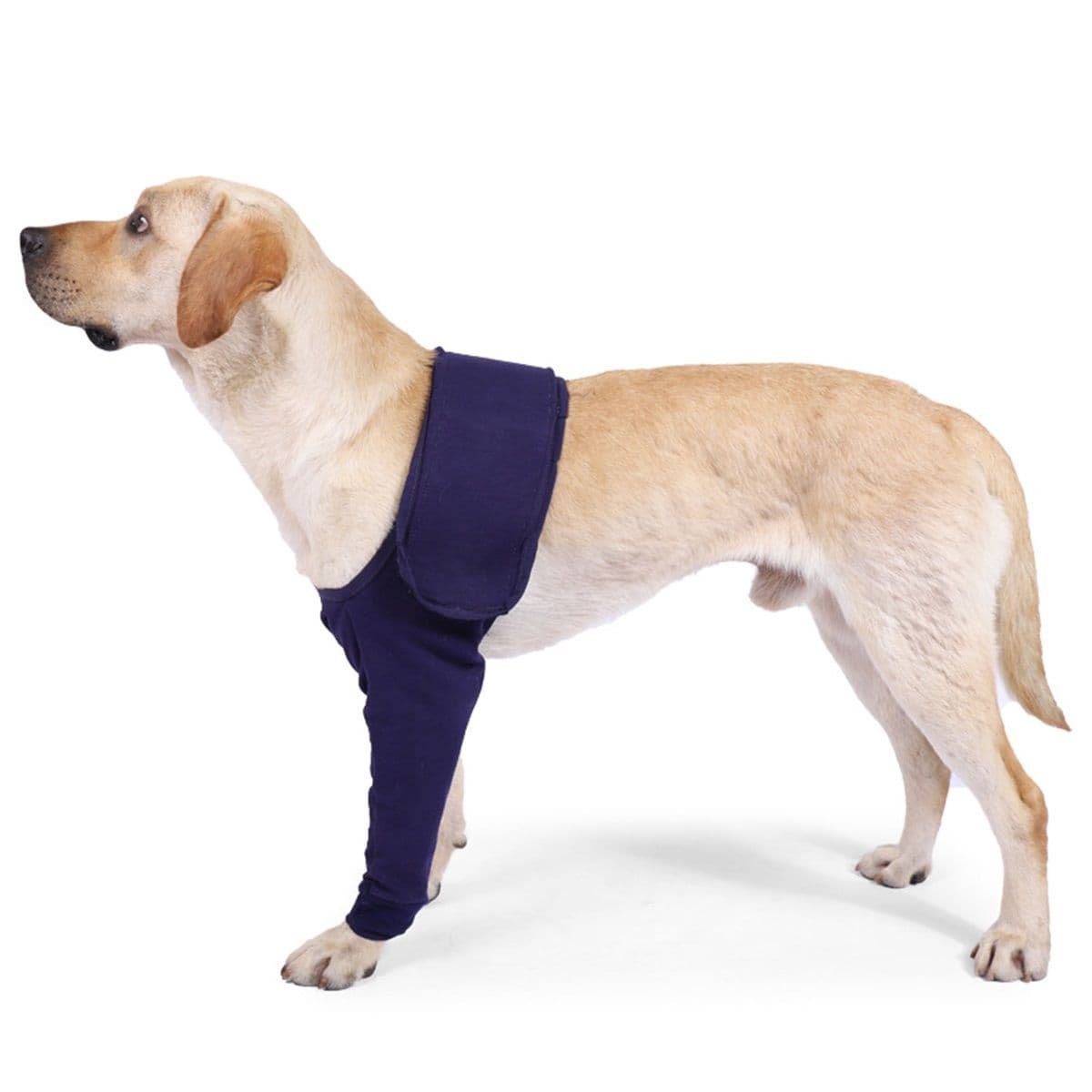 Dog Sleeves for Licking Dog Knee Brace After Surgery Wear for Dogs Abrasion Resistant Dog Recovery Sleeve for Dogs Cone Collar Alternative(XL), photo 1 of 5