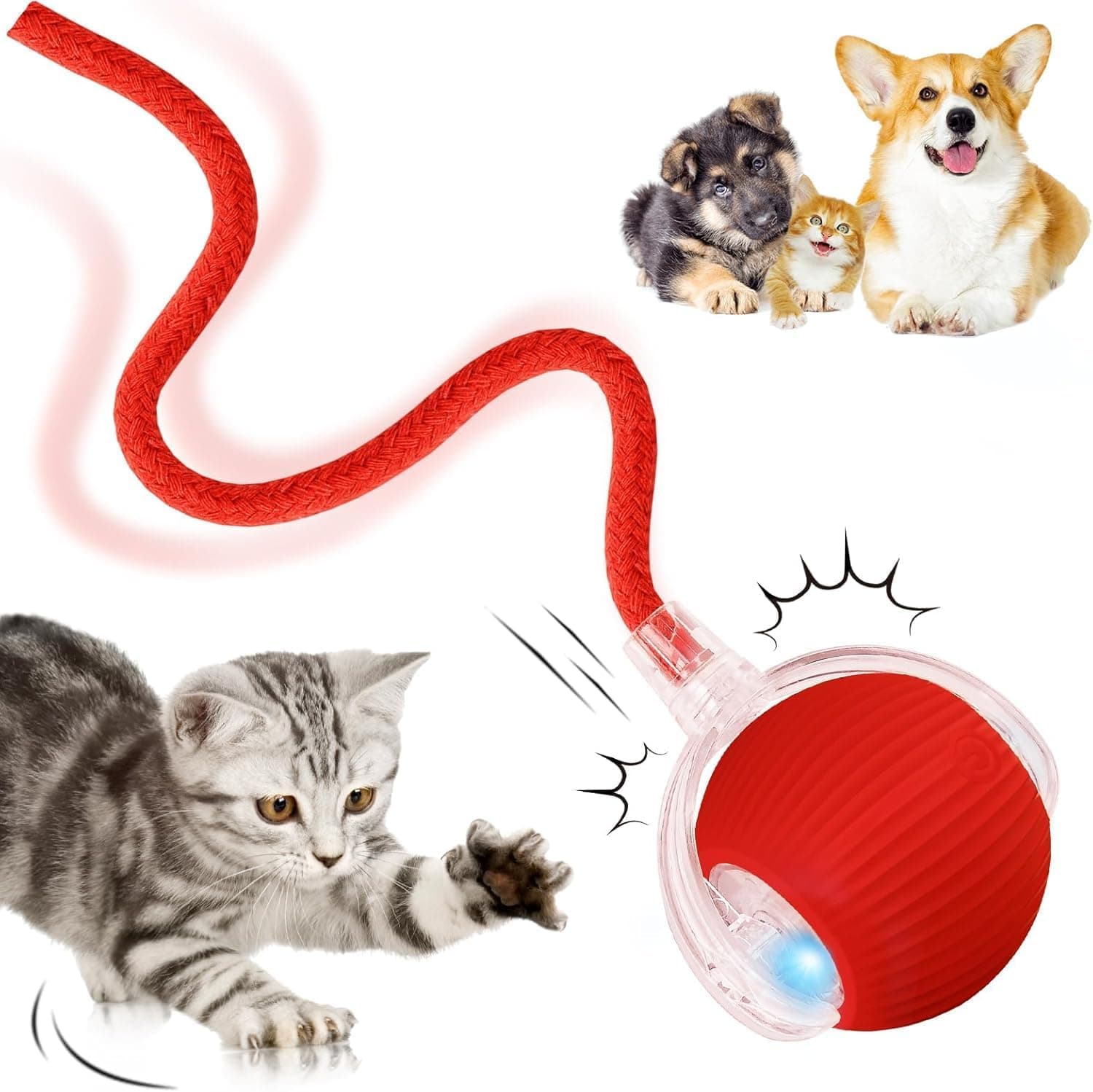 Interactive Rolling Dog Ball, Interactive Cat to-ys Rolling Ball Chewie Viral Dog Ball, Smart Automatic Rolling Pet Ball for Cats Dogs Motion Activated, photo 1 of 8