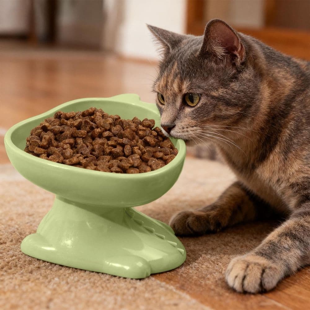 Raised Pet Bowl for Cats Dogs, Tilted Food Water Feeder, Anti-Vomiting Cervical Protection Dish, Green, photo 1 of 5