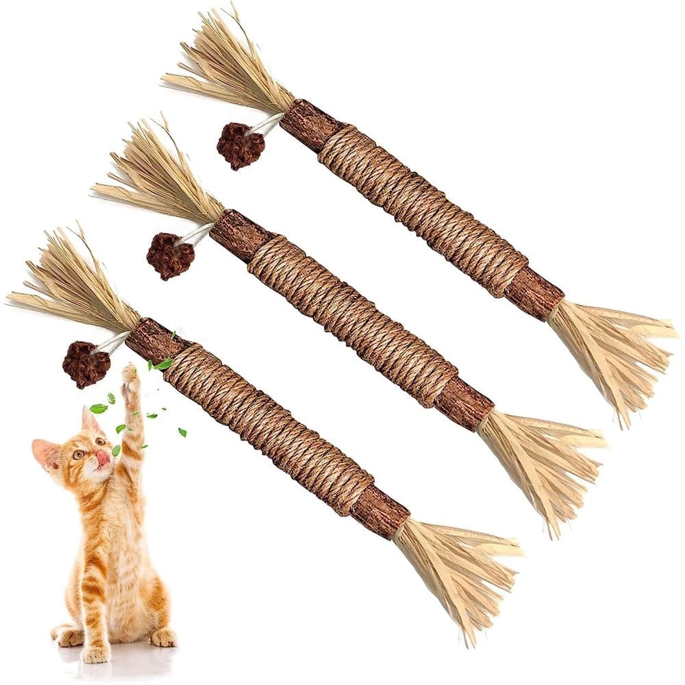 5PCS Natural Silvervine Stick Cat Chew Toy, 22 cm Silvervine Sticks for Cats & Matatabi Silvervine Cat Toys for Indoor Cats, Natural Cat Chew Toys, photo 1 of 5