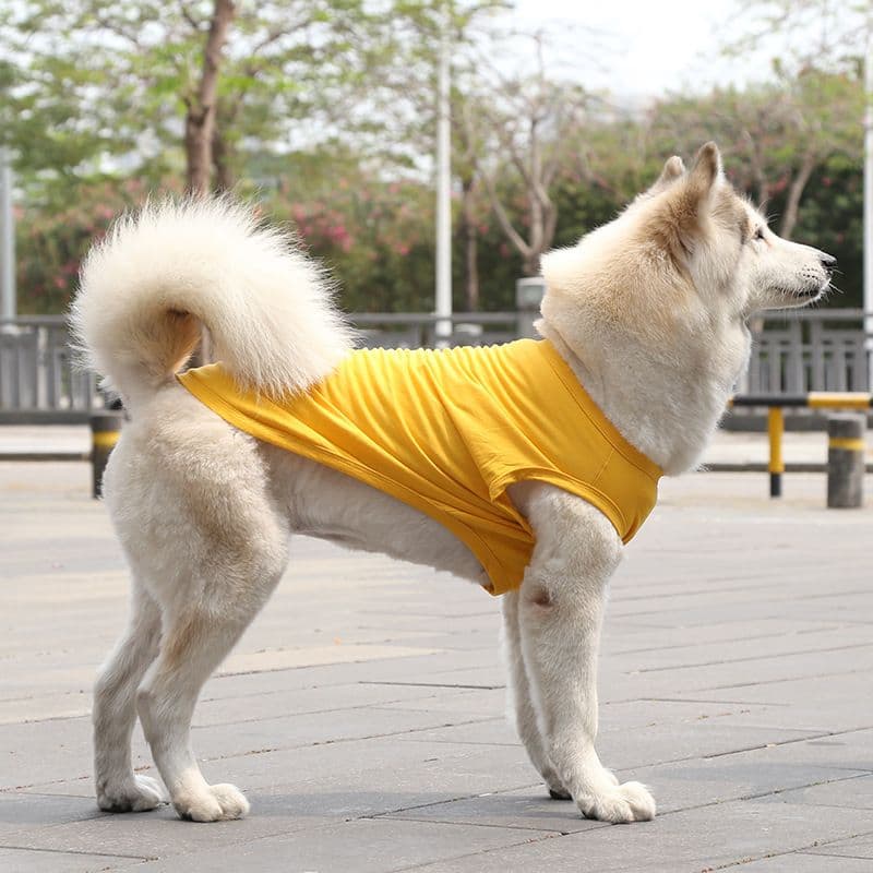 Cotton Pet Vest Clothing for Dogs and Cats by shine - pure yellow, photo 1 of 10