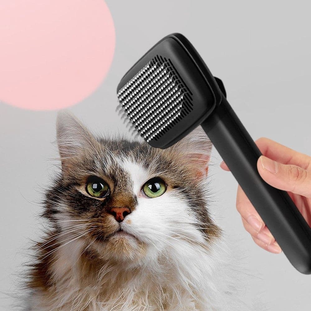 Pet Ion Brush Double Self Cleaning Hair Brush for Dogs Cats Long Short Hair Grooming Tool, Black, photo 1 of 5