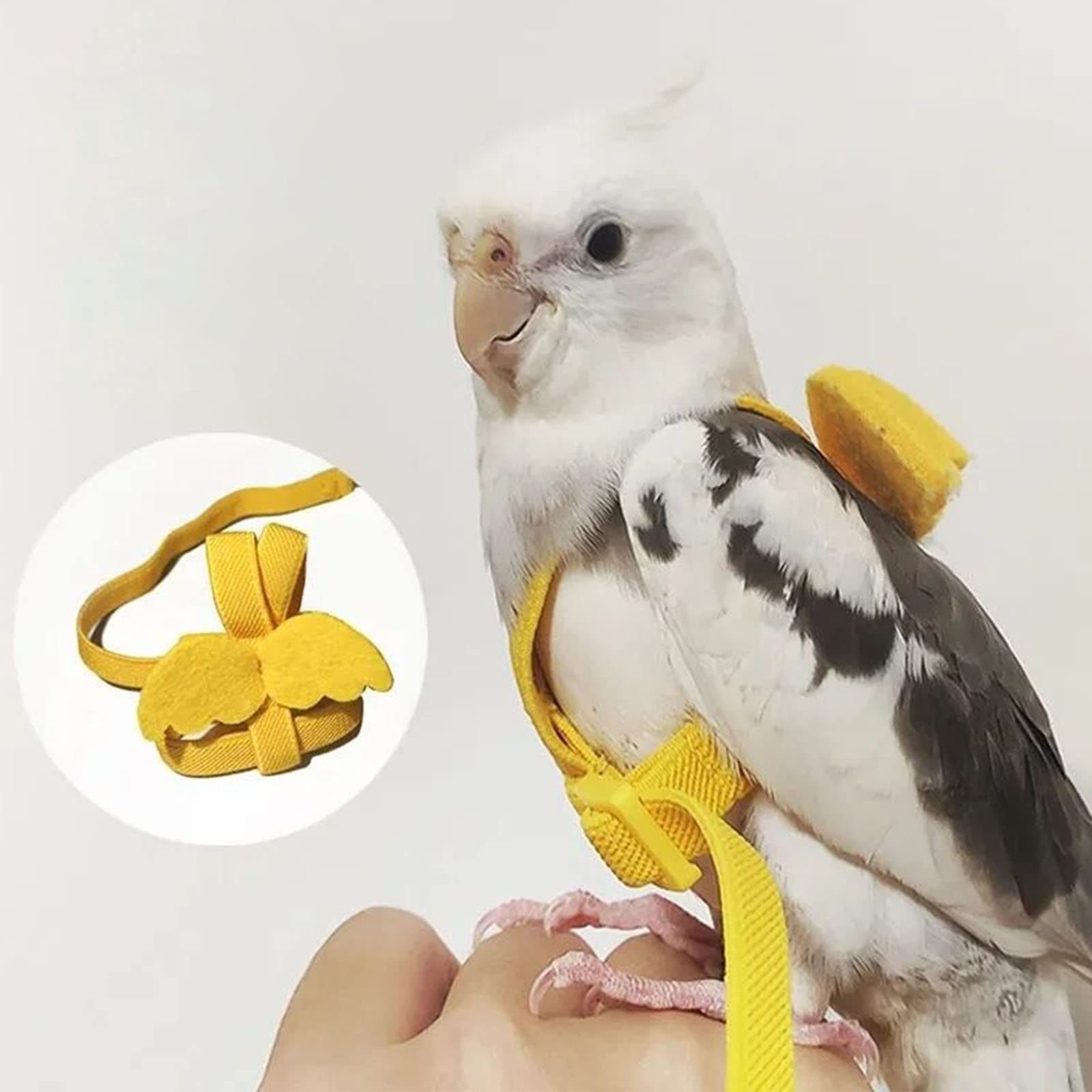 Pet Parrot Bird Harness and Leash, Adjustable Bird Flying Harness, Bird Nylon Rope with Cute Wing for Parrots for Parrot, photo 1 of 4