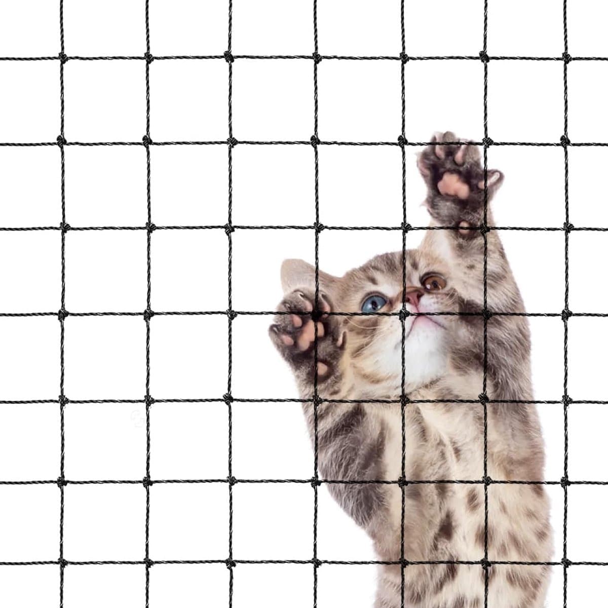 Cat Net - 8*3 m - Cat Balcony Net - Cat Protection Net - Cat Mesh - fall protection net for cats - fall safety net - mesh balcony railing - dog fencing - fall protection net for pets - safety net - with accessories - black, photo 1 of 5