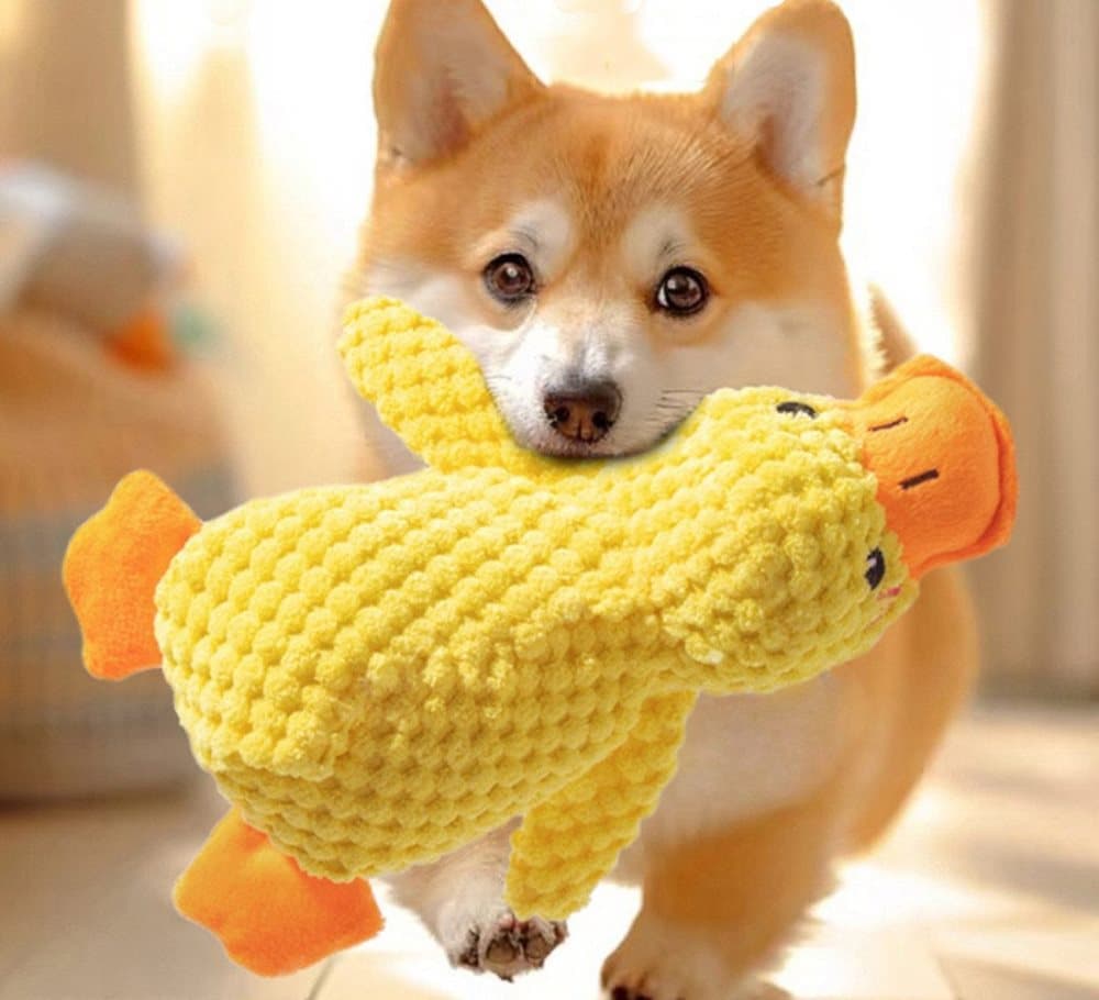 1 Calming Plush Duck Dog Toy with Squeaker for Small Dogs, M, photo 1 of 8