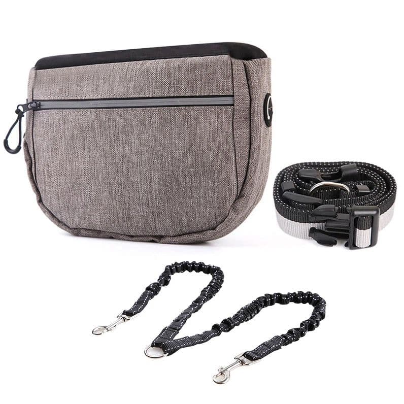 Dog Treat Pouch Bag for Training – Removable Liners, Large Opening Capacity Treat Bag Obedience Cards, Waist Strap Clip Treat Fanny Pack for Dog Training and Walking, photo 1 of 5