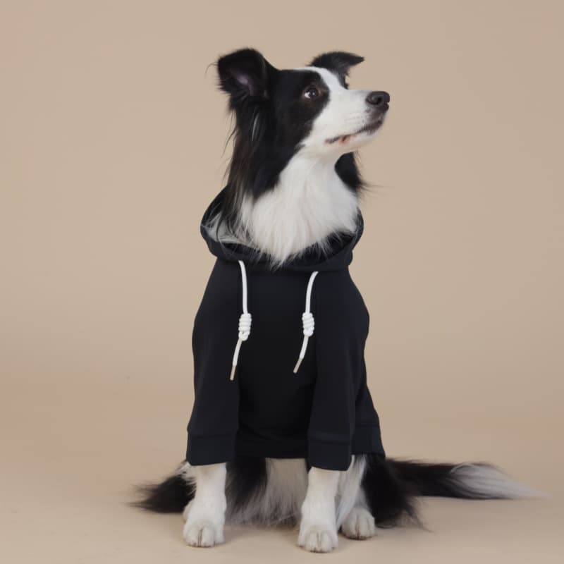 Classic Dog Sweatshirt with Hood & Drawstrings - For Large Dogs