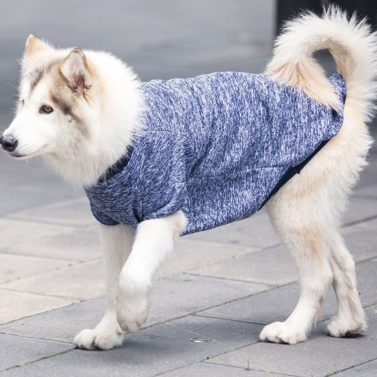shine Pet Clothing Dog Cat Sweater Cloth - cm chest circumference recommended for pets)