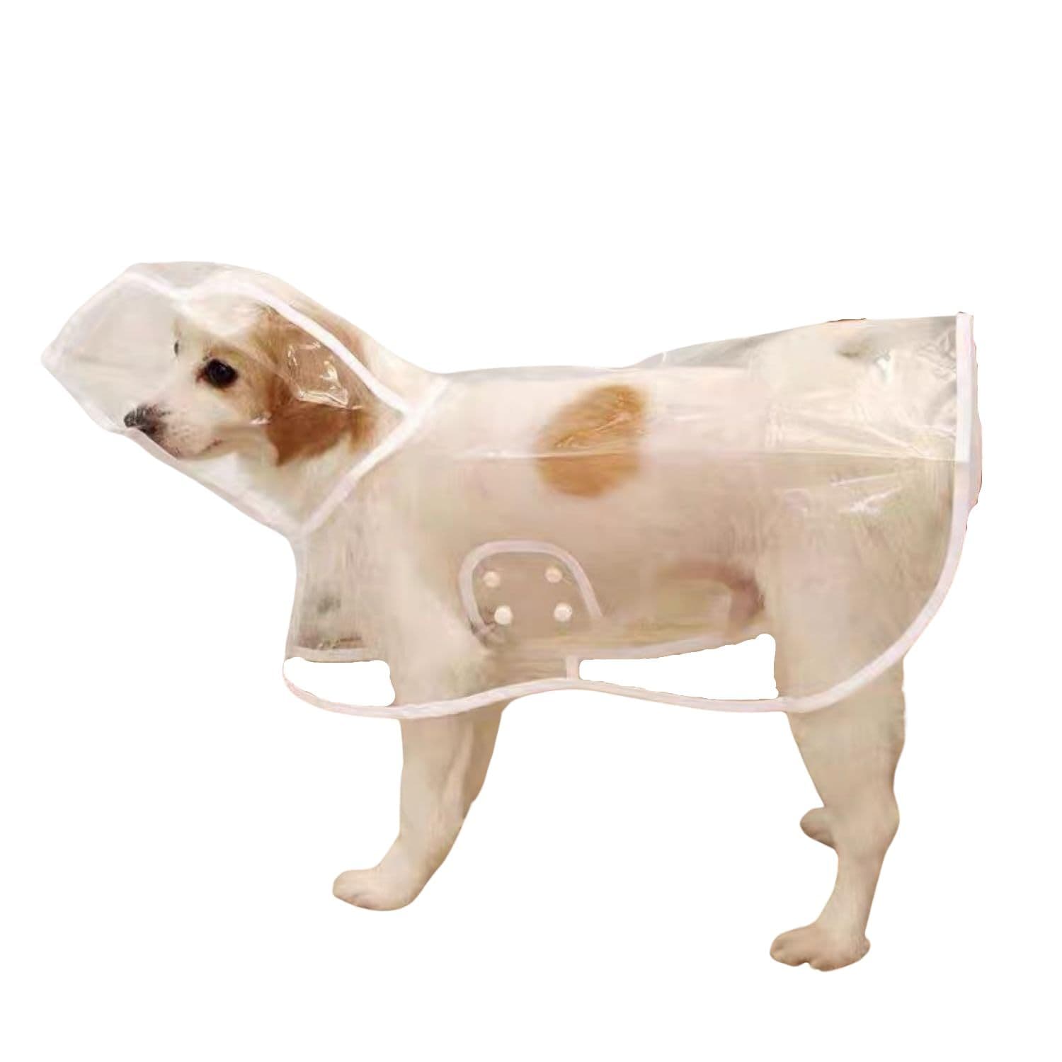 Pet Raincoat,Small Dog Waterproof Puppy Raincoat Coat Transparent Pet Dog Rainwear Clothes for Small Dogs Cats (S,White), photo 1 of 5