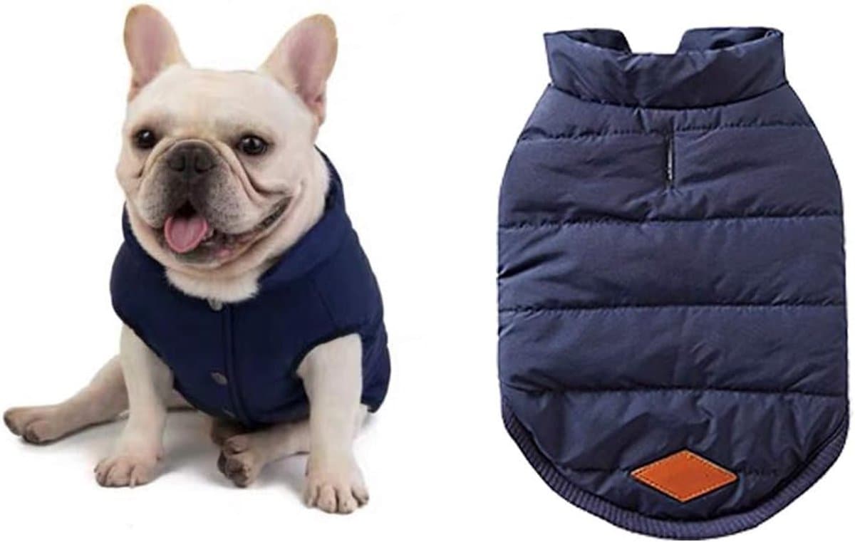 Dog coat - Dog clothes - Winter dog jackets - Waterproof dog coat - Dachshund dog coat - Warm lined winter coat - French Bulldog - Pug - Vest, photo 1 of 5