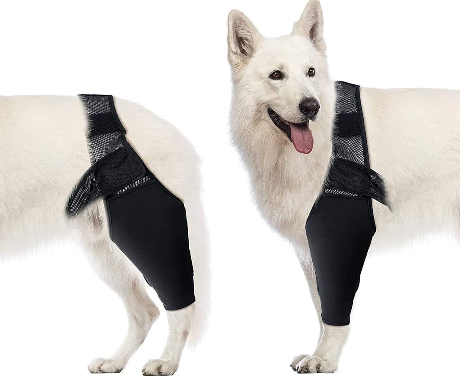 Dog Elbow Support Brace Compression Sleeve for Arthritis Dysplasia and Calluses, Increases Joint Temperature and Improves Circulation for Small to Medium Breeds Size M, photo 1 of 5