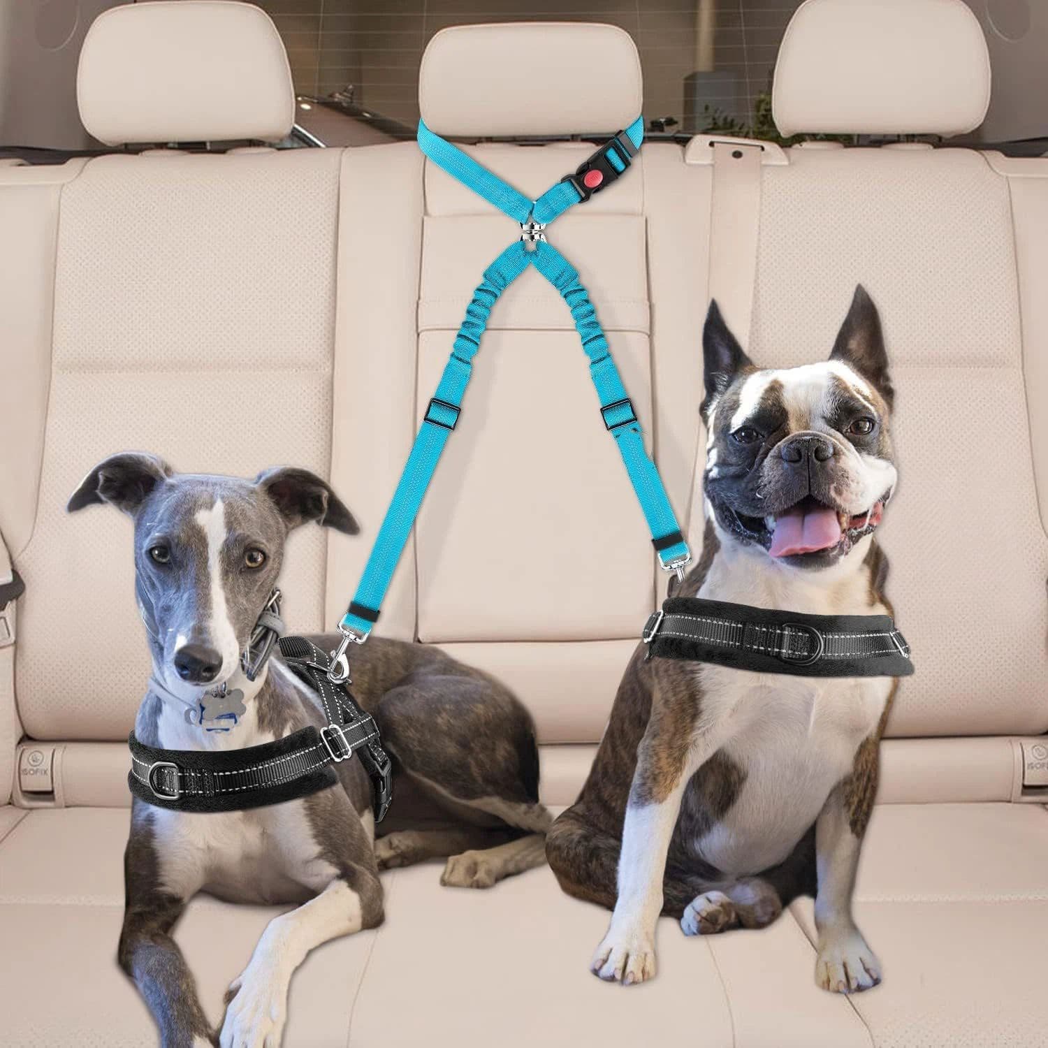 Double Dog Seat Belt, New Dual Pet Car Headrest Restraint Safety Seatbelt No Tangle Dog Leash Duty Adjust Elastic Bungee Puppy Lead Splitter Connect Harness in Vehicle Travel for 2 Dogs, photo 1 of 10