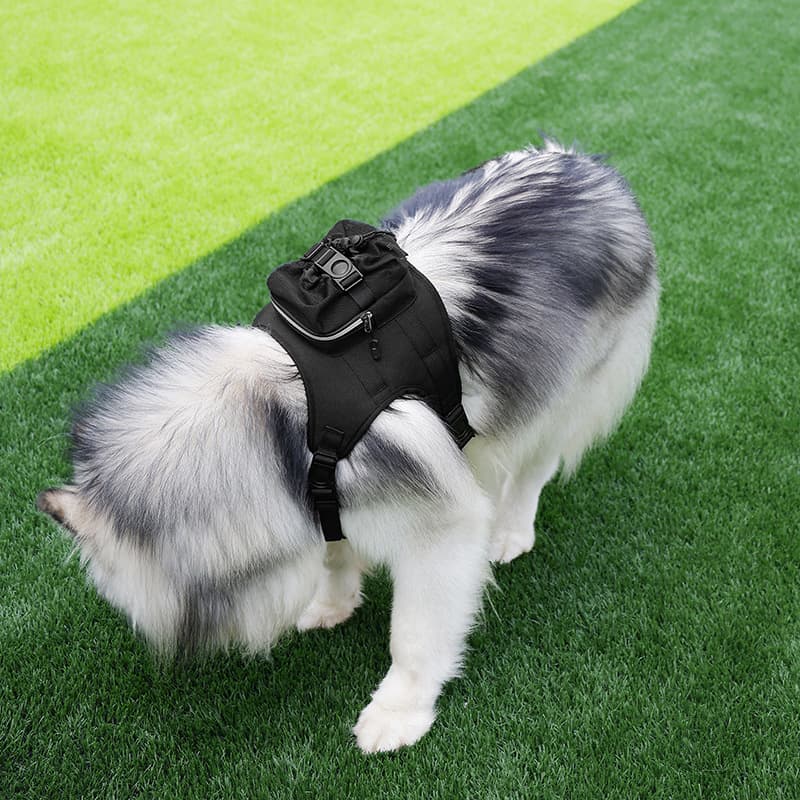 Size L Ultimate Dog Harness Vest with Backpack - Padded, Reflective & Adjustable for Medium to Large Breeds, photo 1 of 6