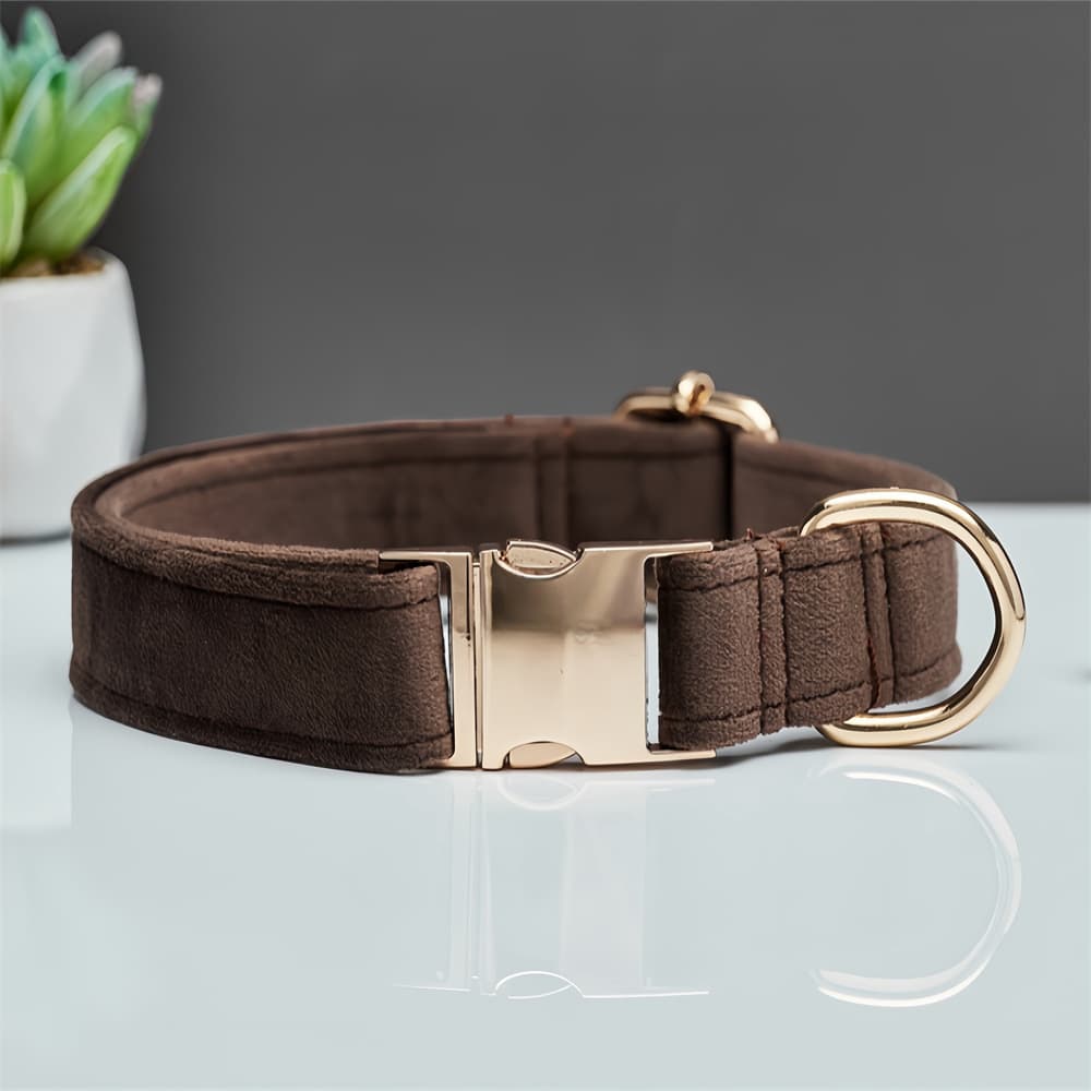 Durable Dog Collar with Metal Buckle – Adjustable Nylon Pet Collar for Small to Large Dogs, photo 1 of 3