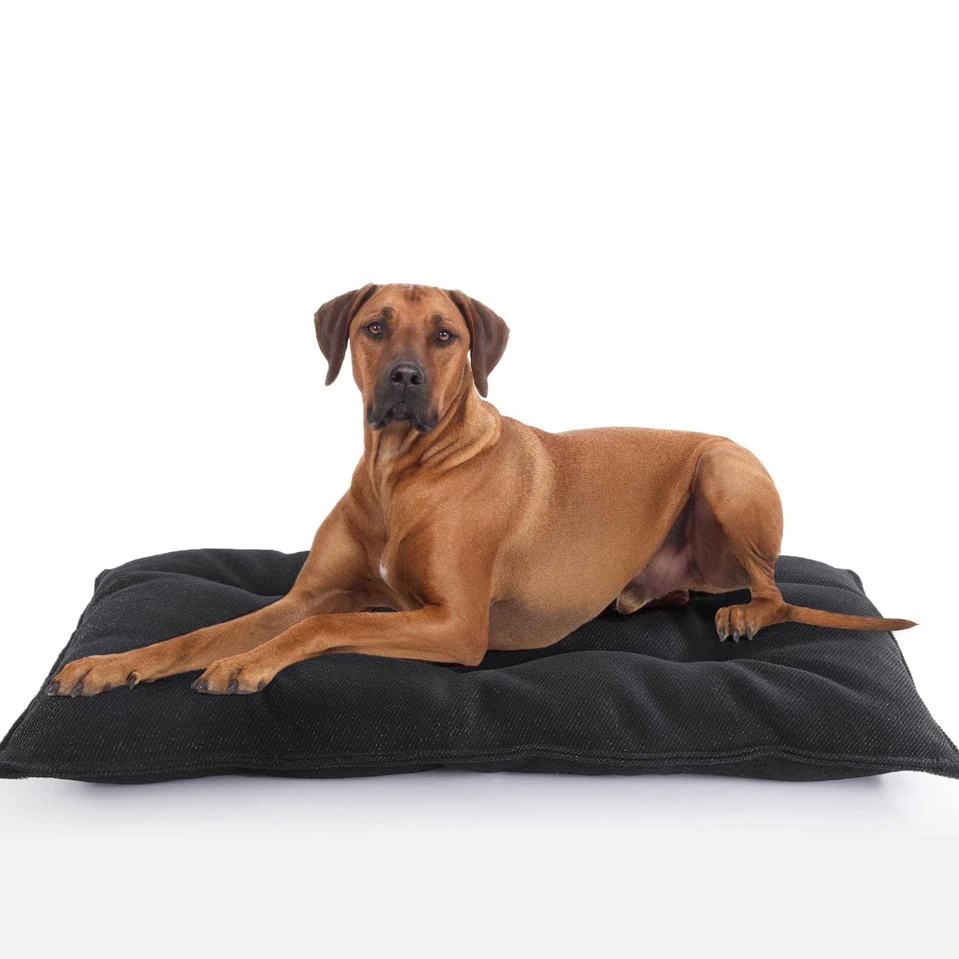 Chew Proof Indestructible Dog Beds for Aggressive Chewers,Durable Dog Crate Pad,Washable Tough Pet Mats for Kennel,Black,S 43*58cm, photo 1 of 5
