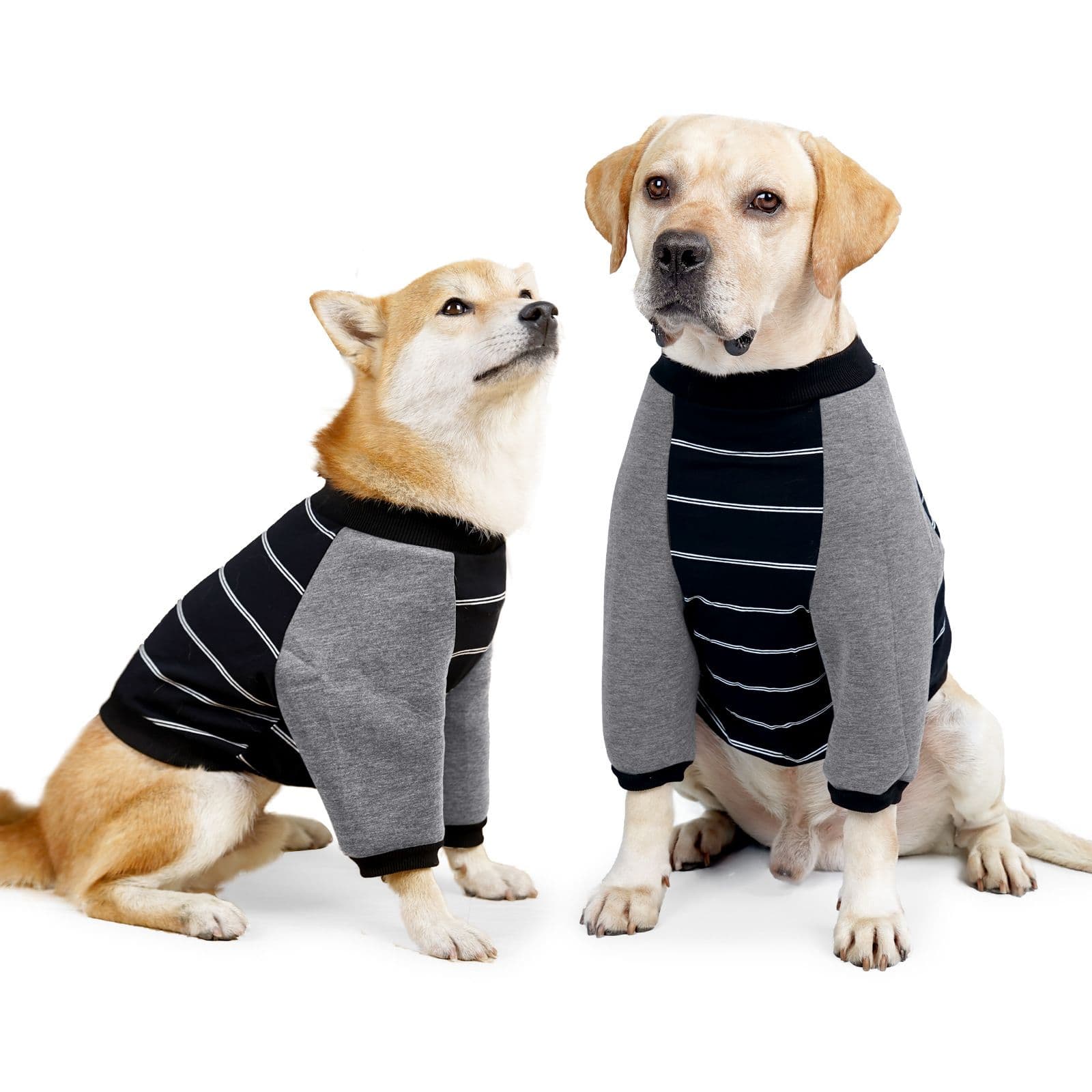 Cotton Dog Elbow Protection Clothing DOTON Family Black stripes neck circumference 34-46 recommended weight, photo 1 of 10