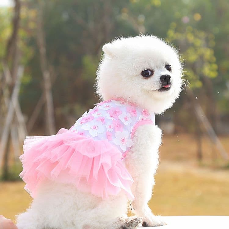 Cotton Princess Pet Dress Dog Cat Clothing