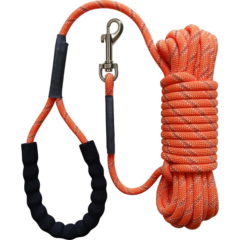 Dog Training Leash with Comfortable Handle, photo 1 of 5