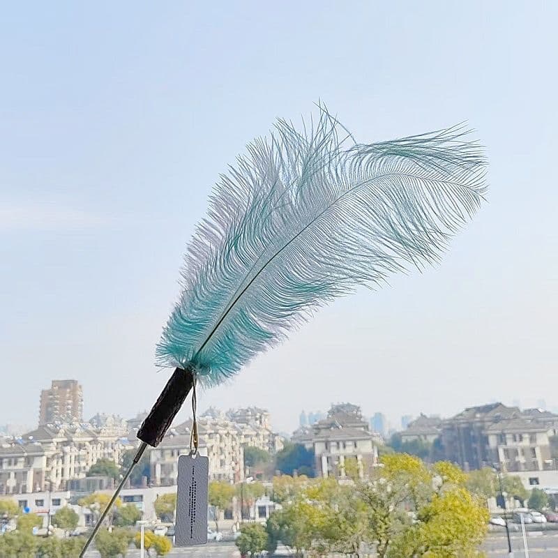 CHIYOOSU Cat Teaser Wand with Feather Bell lake, photo 1 of 10