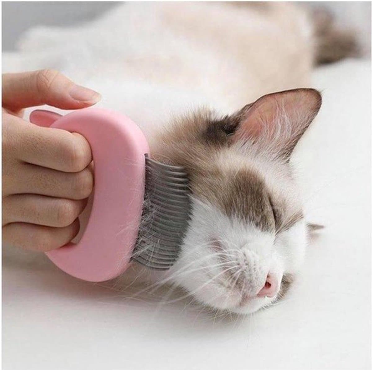 Cat Brush | Cat Comb | Lice Brush | Lice Comb | Elastic Teeth | Detangling Comb | Detangle & Remove Cat Hair | Pink, photo 1 of 5