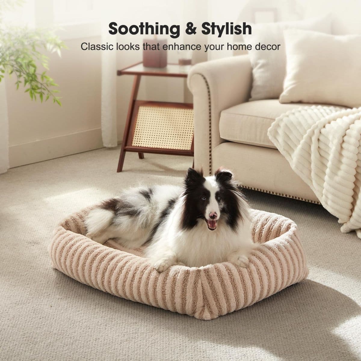 Dog Bed Soft Dog Bed Rabbit Velvet Dog Bed Teddy Fabric Dog Bed Cozy Dog Bed