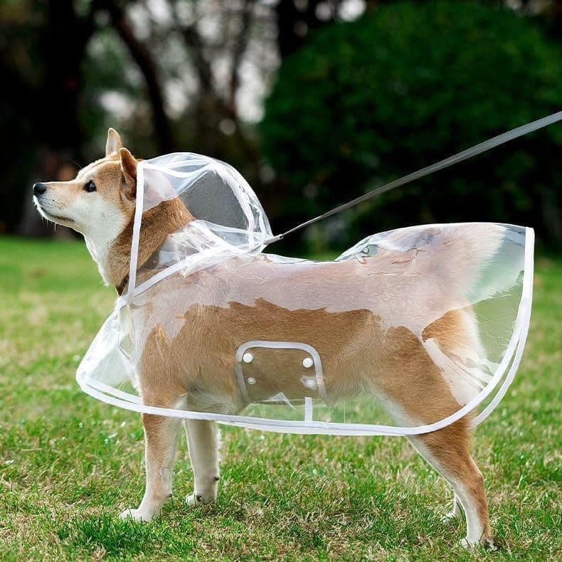 Transparent Dog Raincoat Medium Size - Portable Puppy Rain Jacket with Cape and Hood - Waterproof Outdoor Pet Apparel, photo 1 of 7