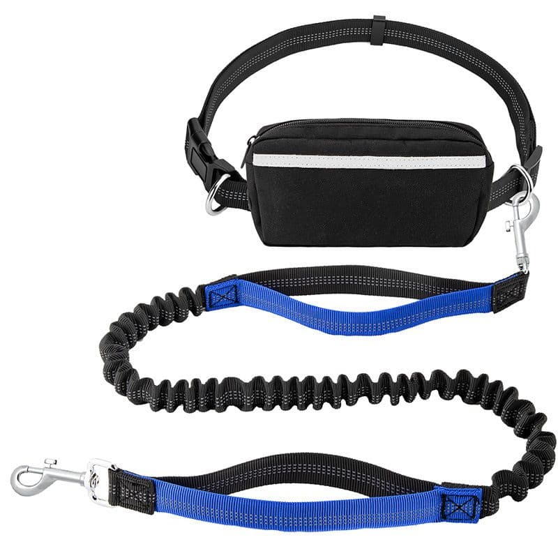 Hands-Free Dog Leash with Waist Belt and Storage Pouch, Shock-Absorbing Bungee Leash for Running, Walking, and Outdoor Adventures, Reflective Safety Design for Night Walks, photo 1 of 10