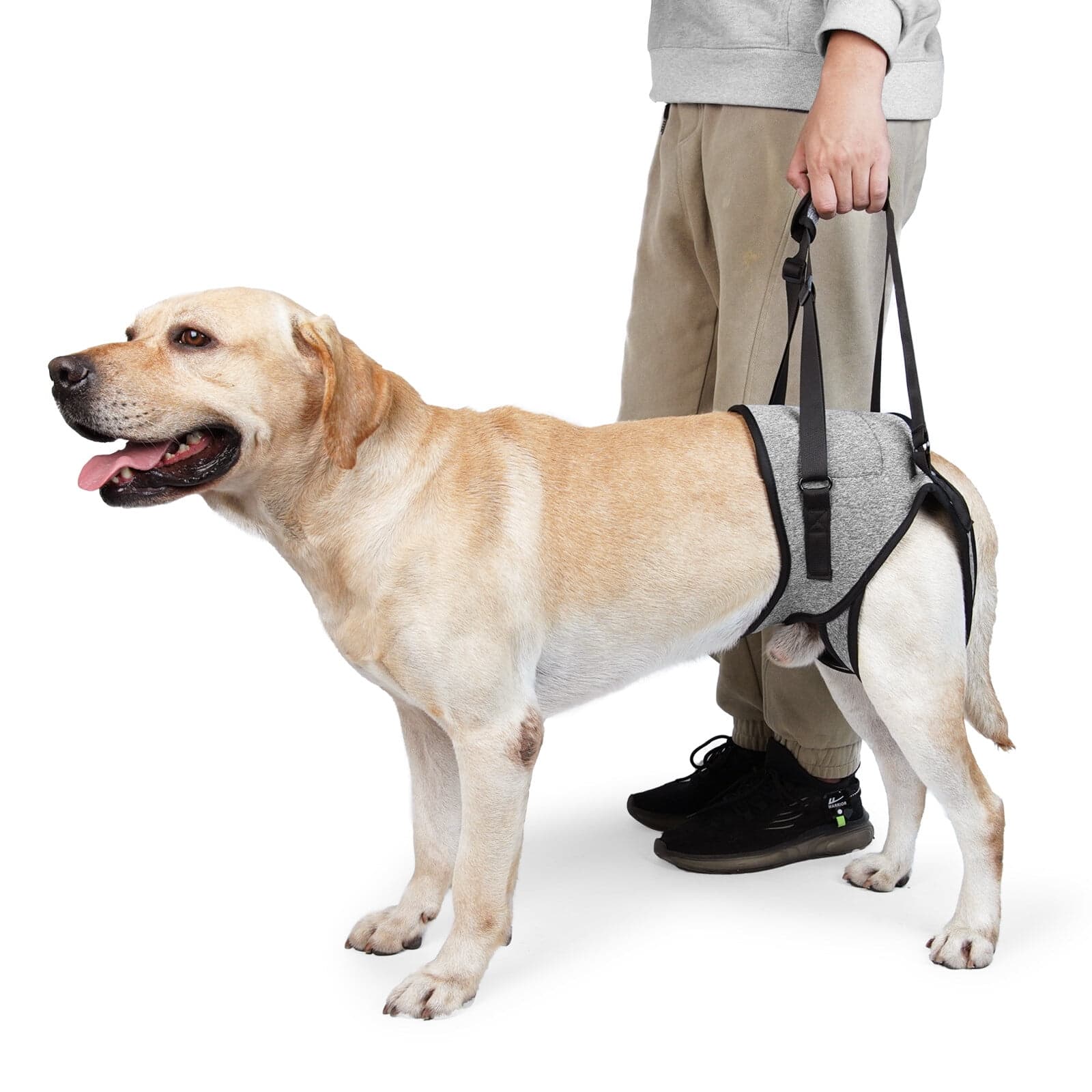 Dog Sling for Large Dogs Hind Leg Adjustable Dog Lift Harnesses For Walking/Climbing Pet Auxiliary Slings for Elderly, Disabled Dogs, photo 1 of 10