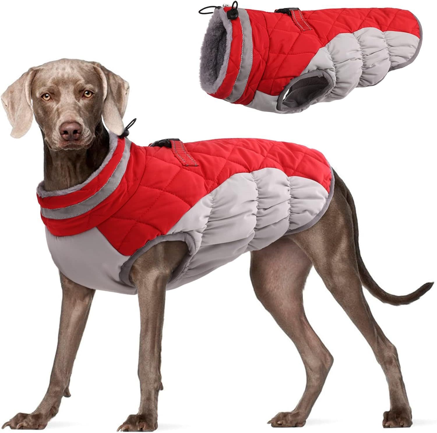 Red Grey Premium Winter Puffer Dog Coat - Windproof & Fleece-Lined Jacket for Cold Weather, photo 1 of 10