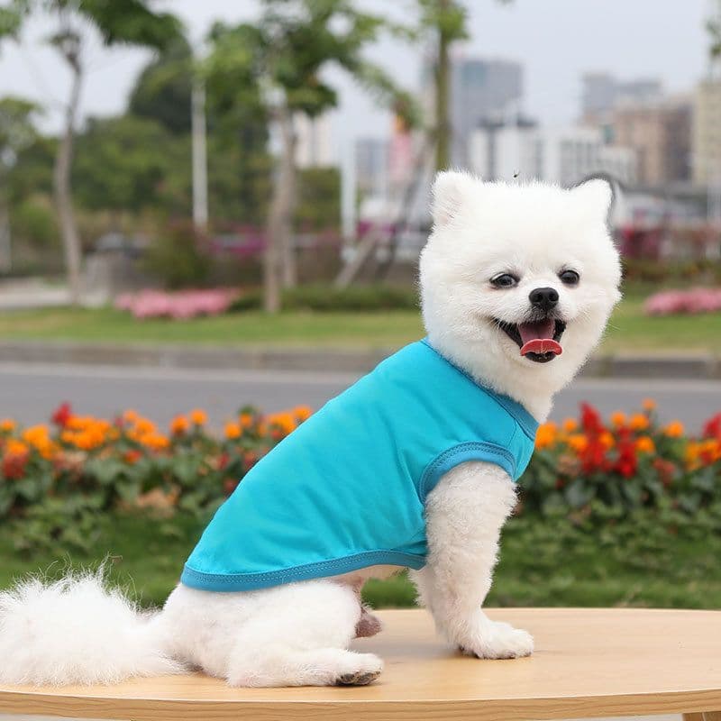 Cotton Pet Vest Clothing for Dogs and Cats by shine - Pure cotton vest pure lake blue, photo 1 of 10