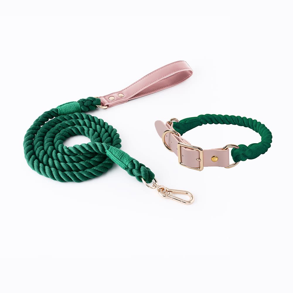 Hand-Woven Rainbow Cotton Rope Dog Leash and Collar Set - Adjustable Veg-Tanned Leather Trim with Heavy Duty Metal Hardware - 150cm Training Lead and Collar, photo 1 of 6