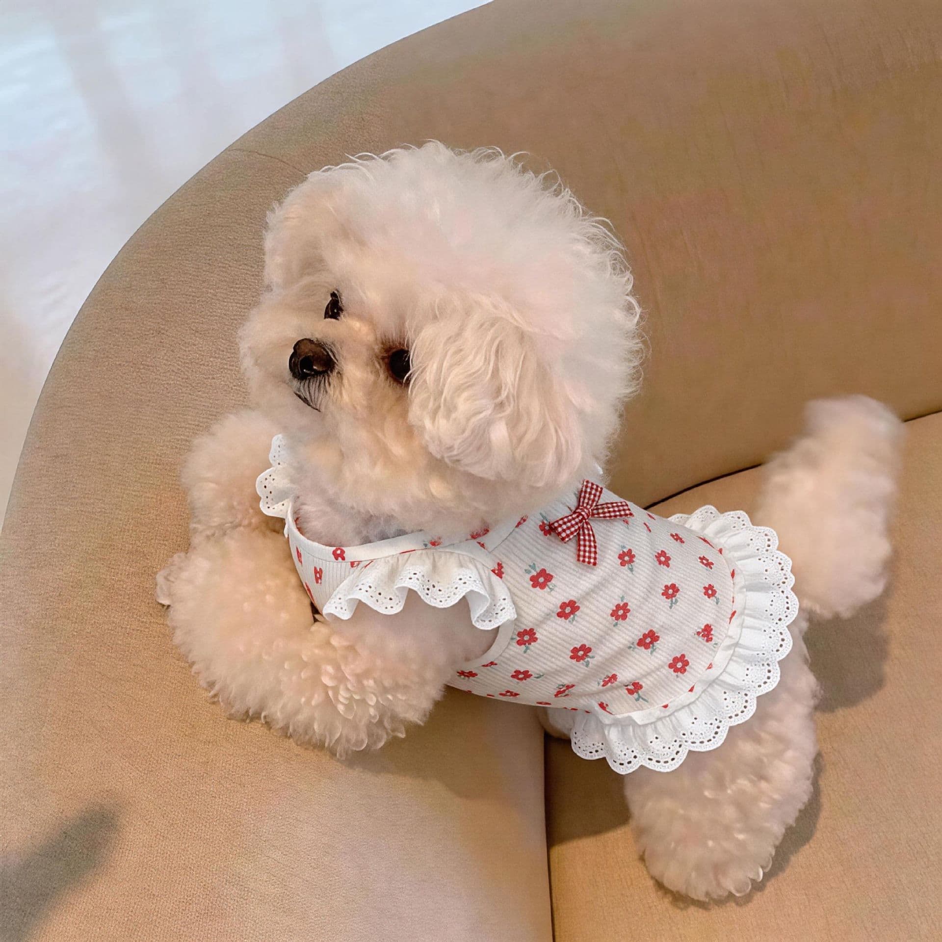 AMOOR Dog Dress Summer Princess Style Pet Clothing Floral Cami Dress